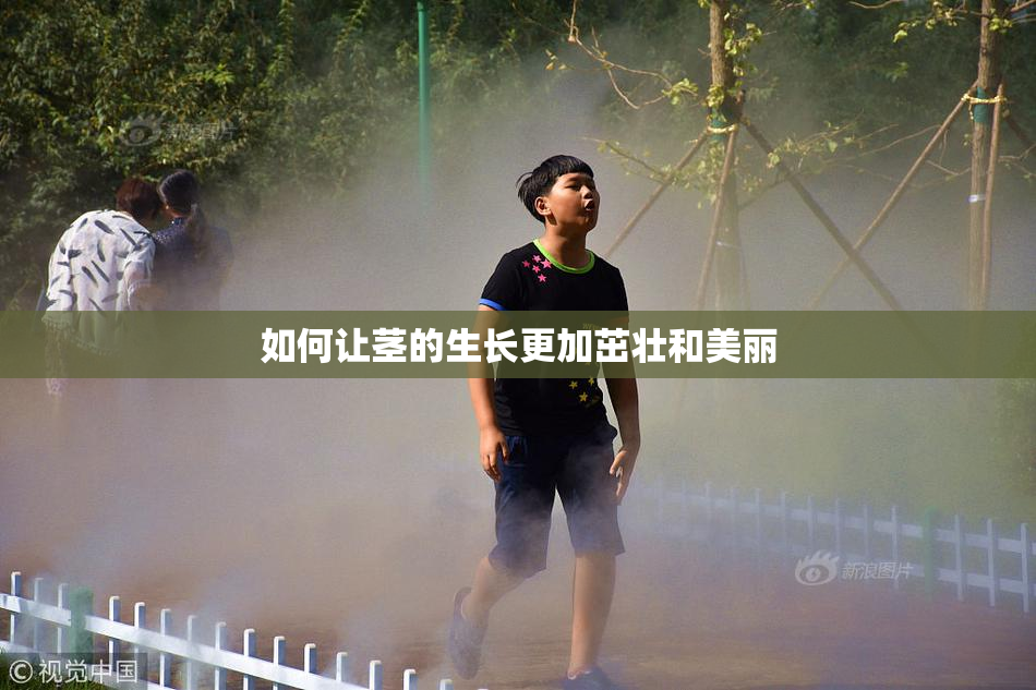 如何让茎的生长更加茁壮和美丽