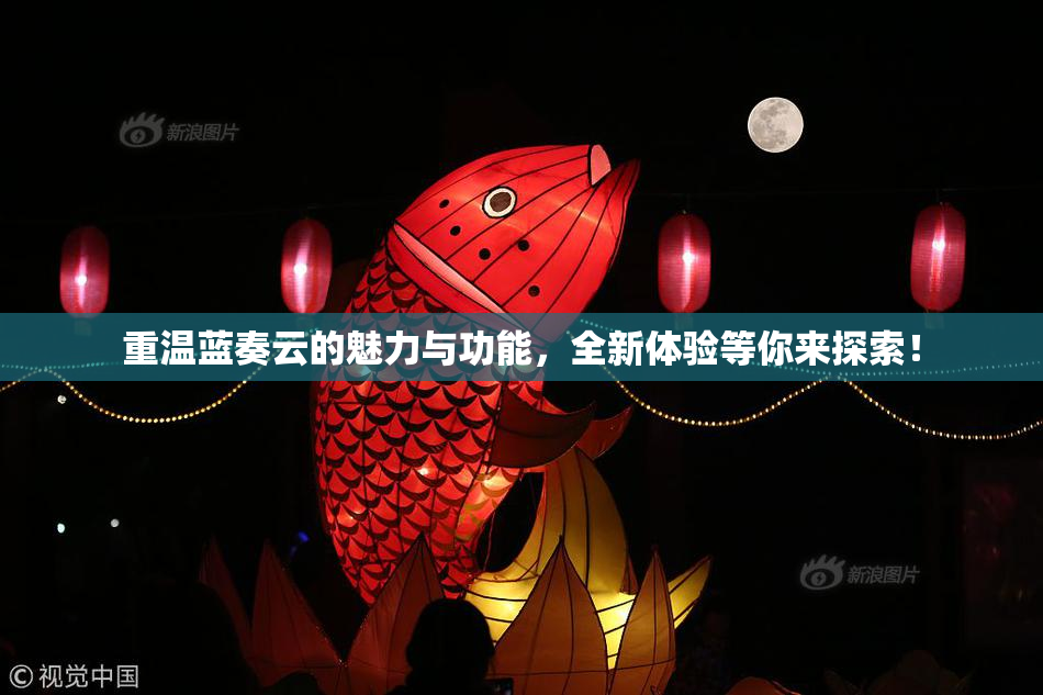 重温蓝奏云的魅力与功能，全新体验等你来探索！