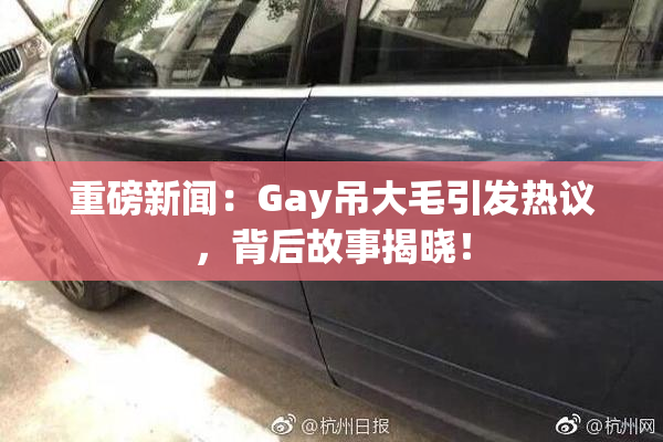 重磅新闻：Gay吊大毛引发热议，背后故事揭晓！