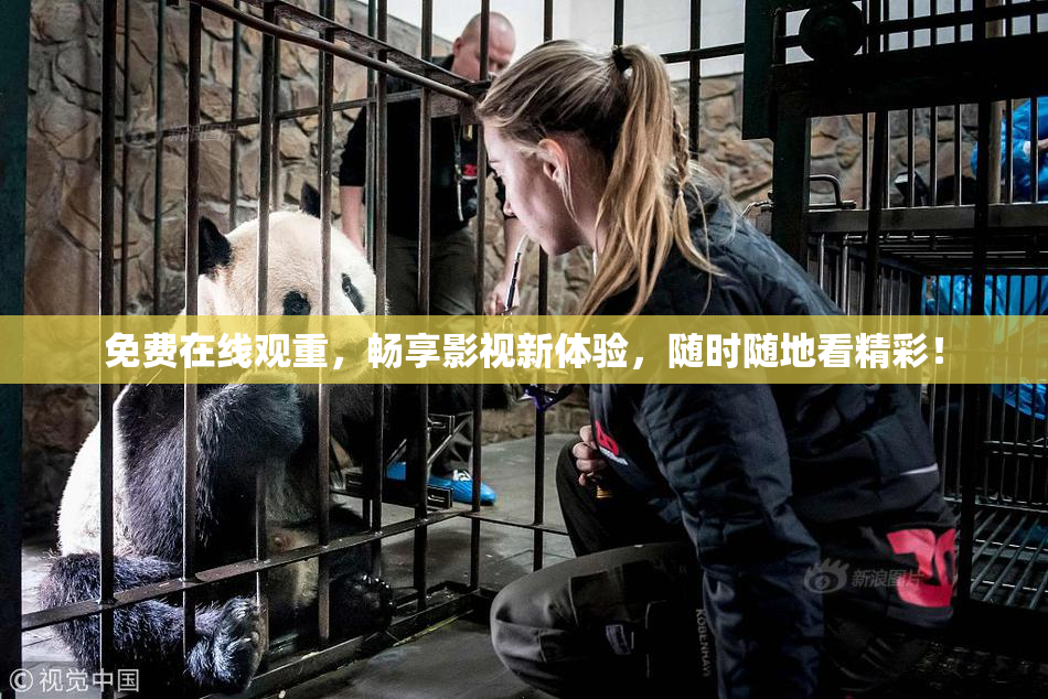 免费在线观重，畅享影视新体验，随时随地看精彩！
