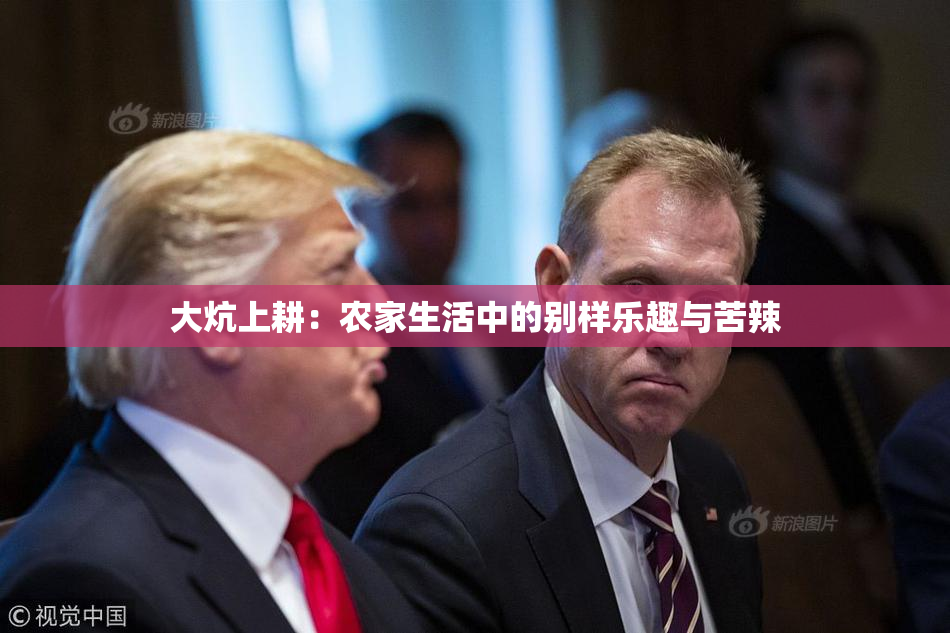 大炕上耕：农家生活中的别样乐趣与苦辣