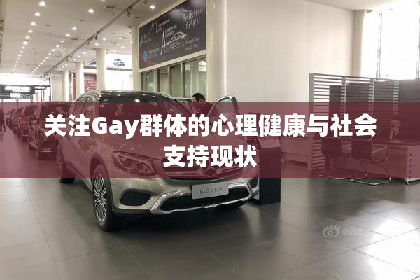 关注Gay群体的心理健康与社会支持现状