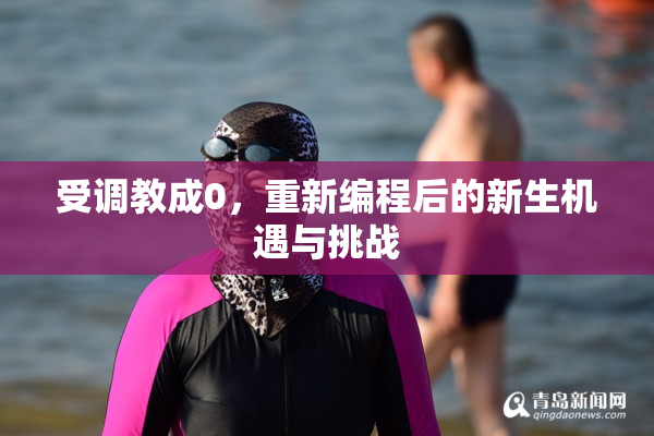 受调教成0，重新编程后的新生机遇与挑战
