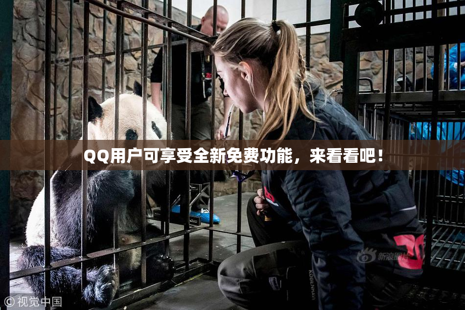 QQ用户可享受全新免费功能，来看看吧！