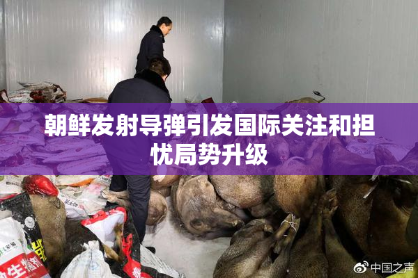 朝鲜发射导弹引发国际关注和担忧局势升级