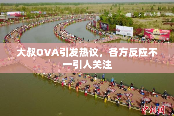 大叔OVA引发热议，各方反应不一引人关注
