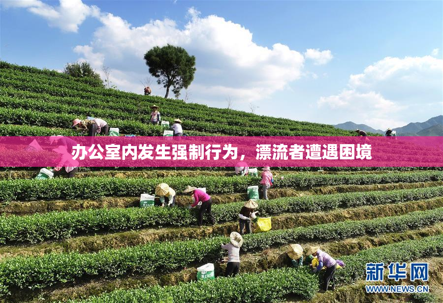 办公室内发生强制行为，漂流者遭遇困境