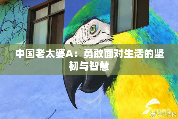 中国老太婆A：勇敢面对生活的坚韧与智慧