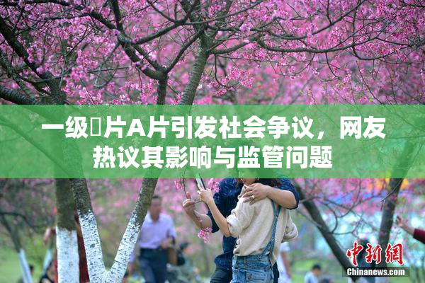 一级婬片A片引发社会争议，网友热议其影响与监管问题