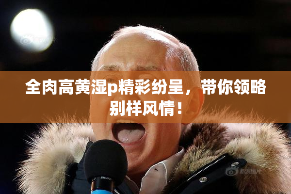 全肉高黄湿p精彩纷呈，带你领略别样风情！
