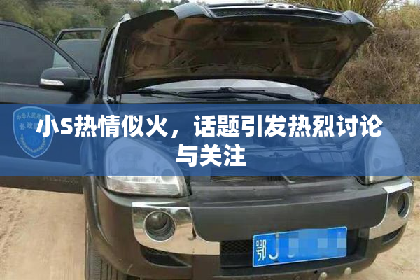 小S热情似火，话题引发热烈讨论与关注