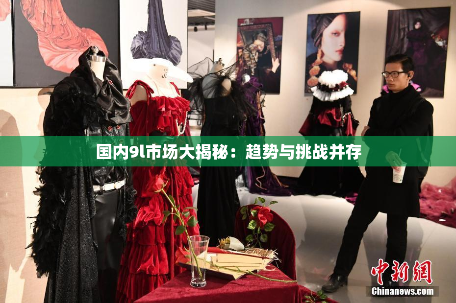 国内9l市场大揭秘：趋势与挑战并存