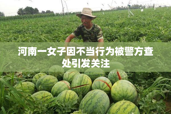河南一女子因不当行为被警方查处引发关注