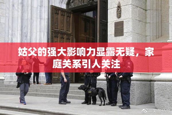 姑父的强大影响力显露无疑，家庭关系引人关注