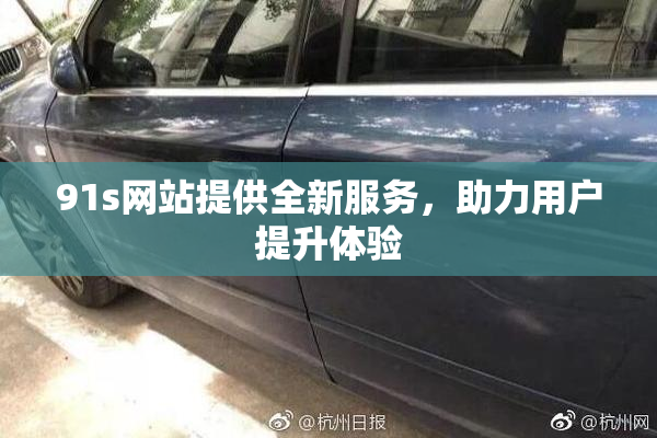 91s网站提供全新服务，助力用户提升体验