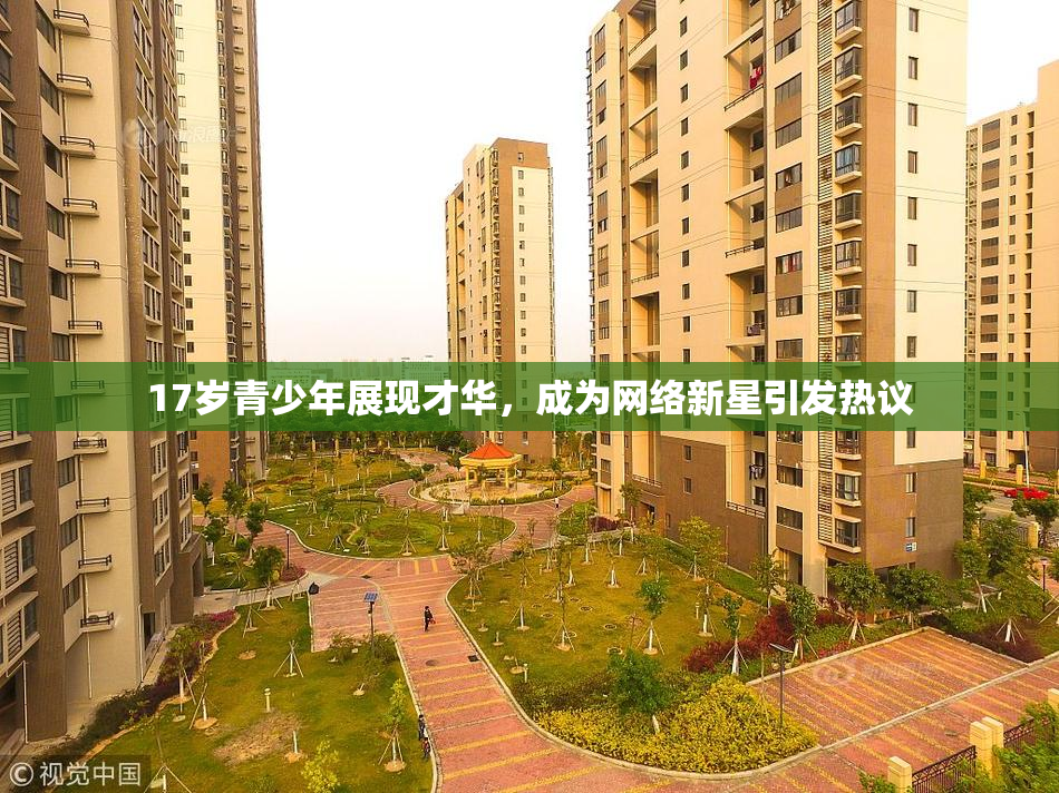 17岁青少年展现才华，成为网络新星引发热议