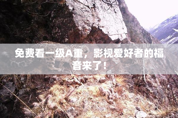 免费看一级A重，影视爱好者的福音来了！