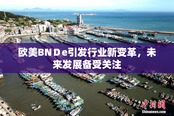欧美BNＤe引发行业新变革，未来发展备受关注