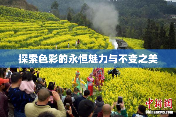 探索色彩的永恒魅力与不变之美