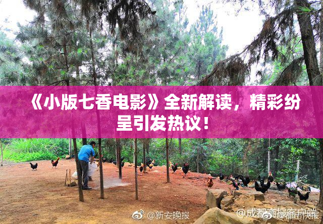 《小版七香电影》全新解读，精彩纷呈引发热议！