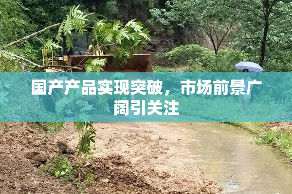 国产产品实现突破，市场前景广阔引关注