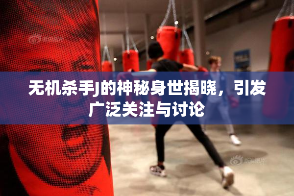 无机杀手J的神秘身世揭晓，引发广泛关注与讨论