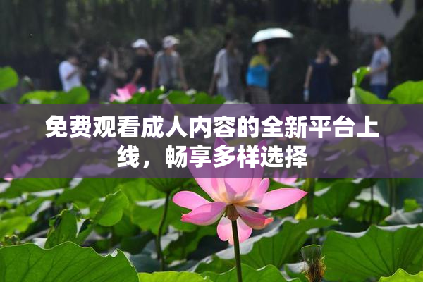免费观看成人内容的全新平台上线，畅享多样选择