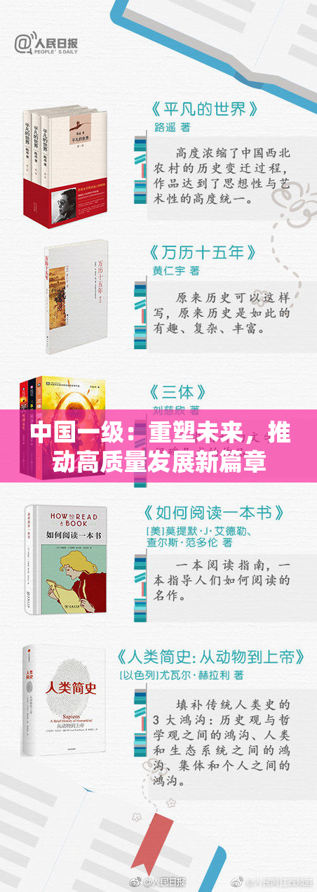 中国一级：重塑未来，推动高质量发展新篇章