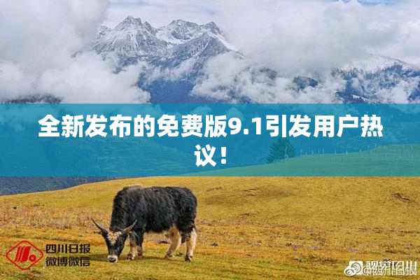 全新发布的免费版9.1引发用户热议！