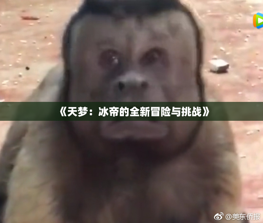 《天梦：冰帝的全新冒险与挑战》