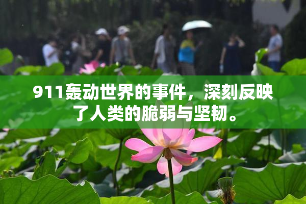 911轰动世界的事件，深刻反映了人类的脆弱与坚韧。