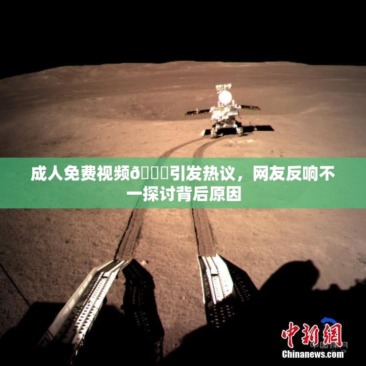成人免费视频🔞引发热议，网友反响不一探讨背后原因