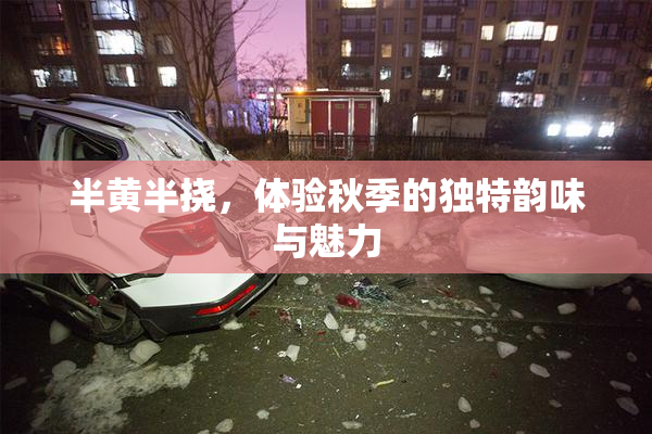 半黄半挠，体验秋季的独特韵味与魅力
