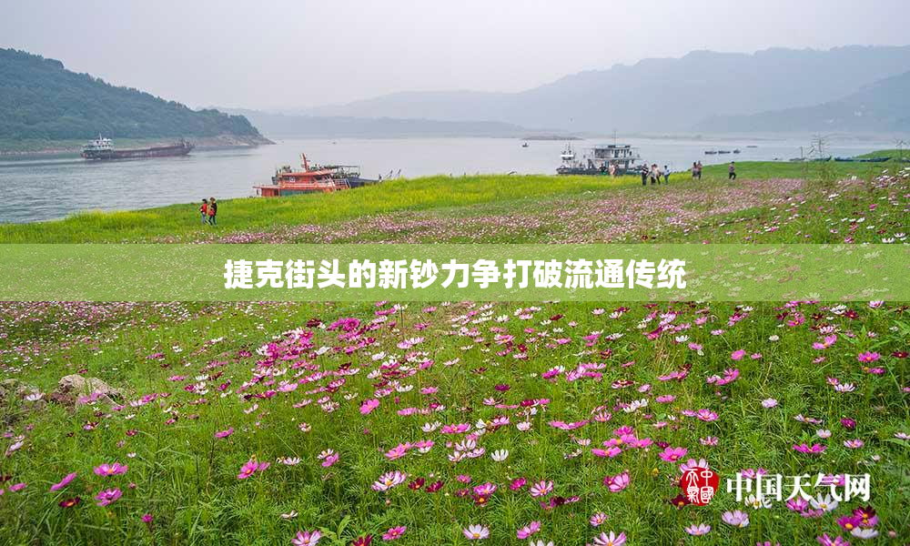 捷克街头的新钞力争打破流通传统