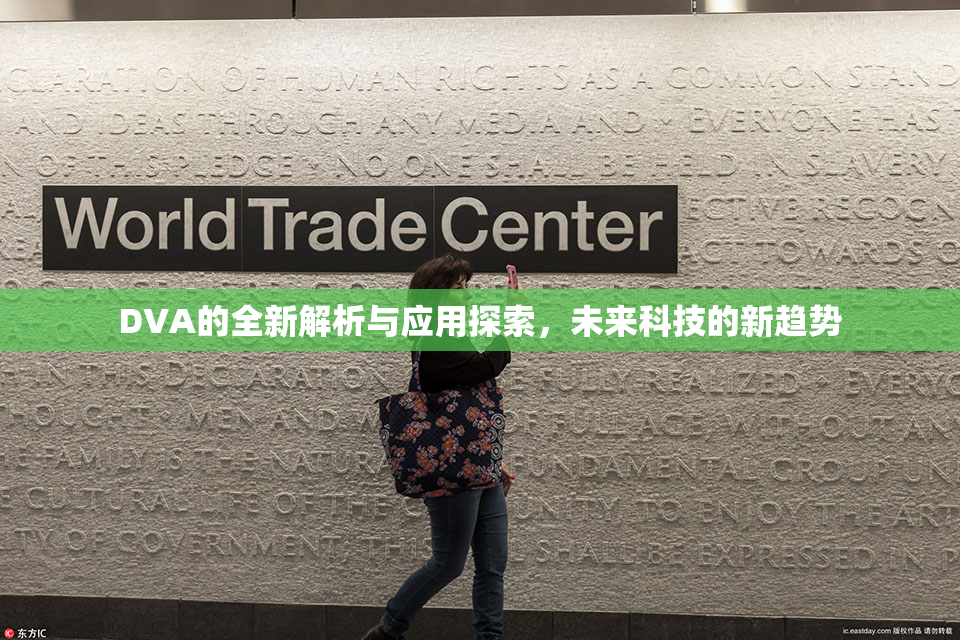 DVA的全新解析与应用探索，未来科技的新趋势