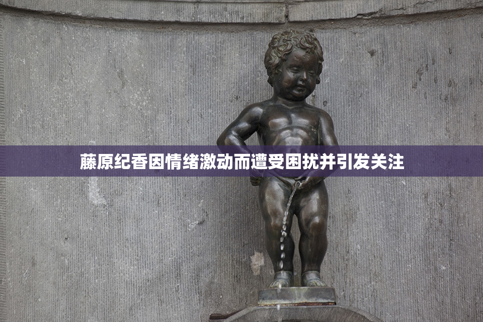 藤原纪香因情绪激动而遭受困扰并引发关注