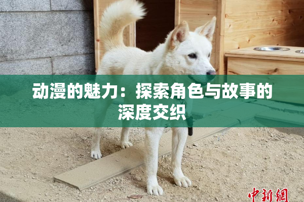 动漫的魅力：探索角色与故事的深度交织