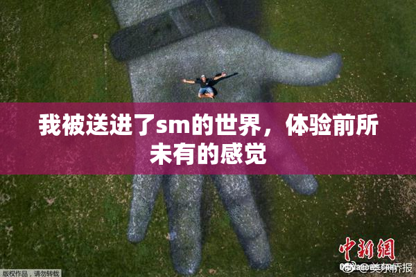 我被送进了sm的世界，体验前所未有的感觉