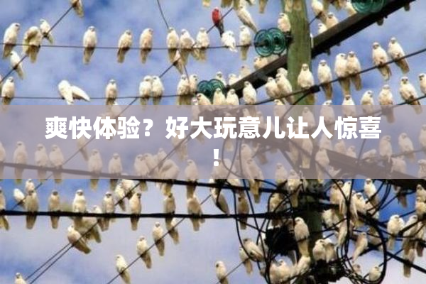 爽快体验？好大玩意儿让人惊喜！