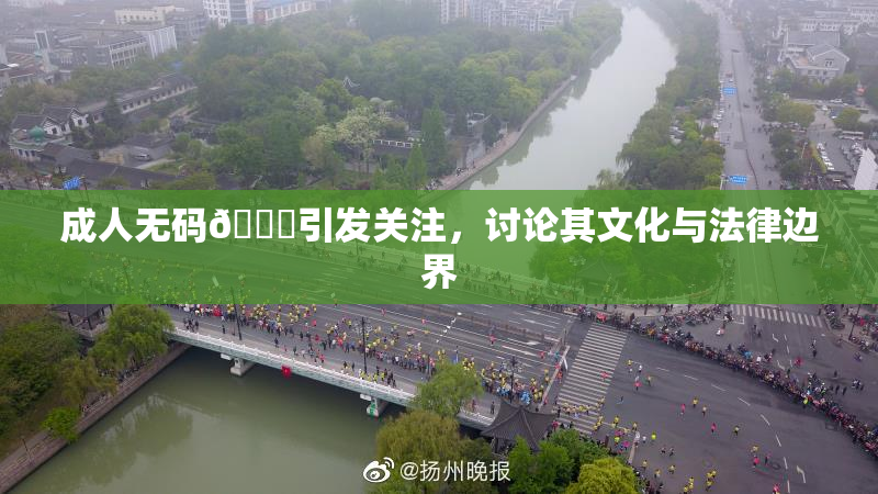 成人无码🔞引发关注，讨论其文化与法律边界