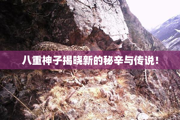 八重神子揭晓新的秘辛与传说！