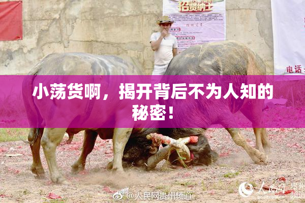 小荡货啊，揭开背后不为人知的秘密！