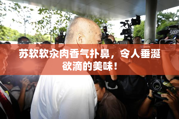 苏软软汆肉香气扑鼻，令人垂涎欲滴的美味！