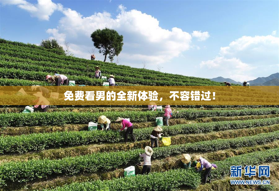 免费看男的全新体验，不容错过！