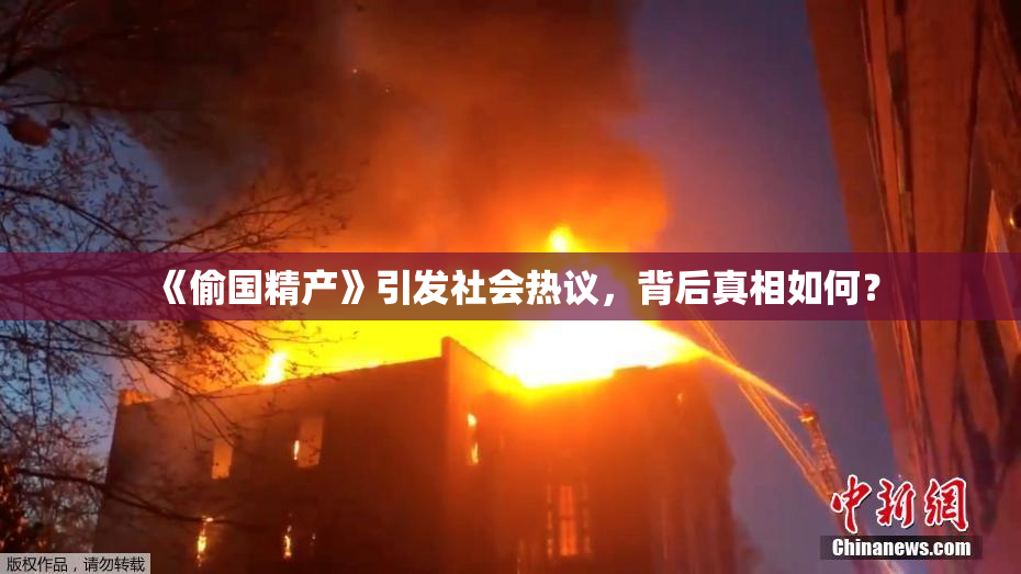《偷国精产》引发社会热议，背后真相如何？