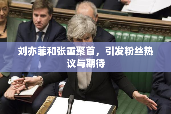 刘亦菲和张重聚首，引发粉丝热议与期待