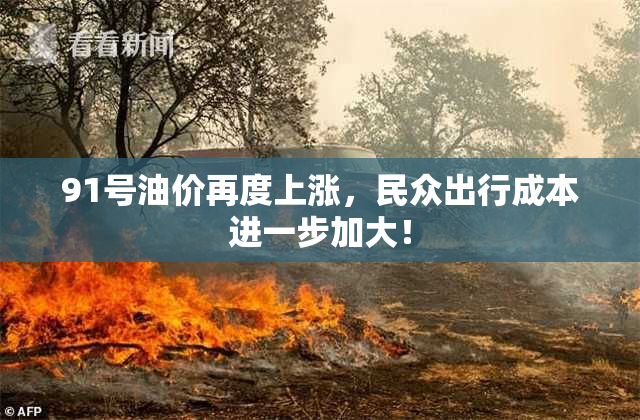 91号油价再度上涨，民众出行成本进一步加大！