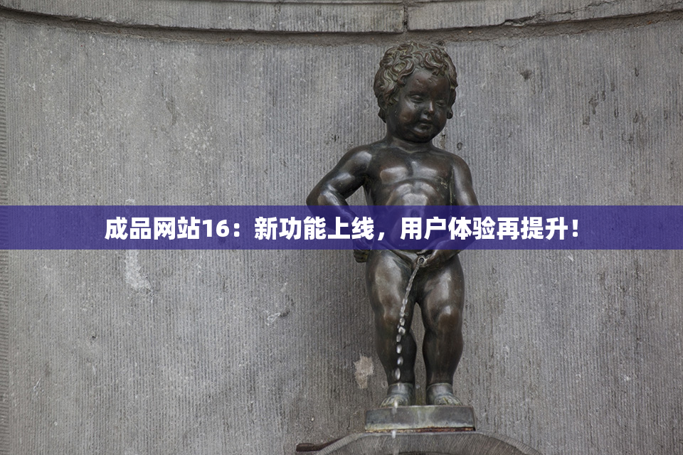 成品网站16：新功能上线，用户体验再提升！