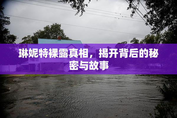 琳妮特裸露真相，揭开背后的秘密与故事