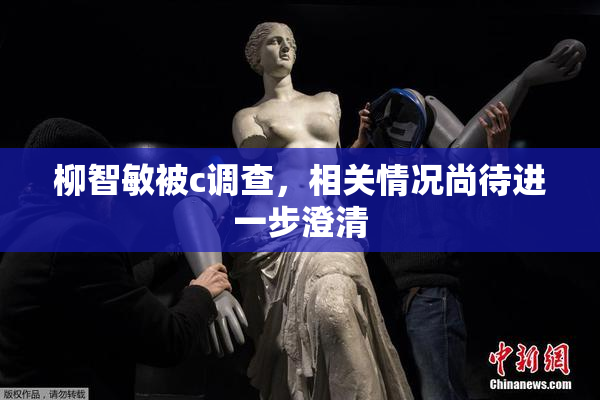 柳智敏被c调查，相关情况尚待进一步澄清